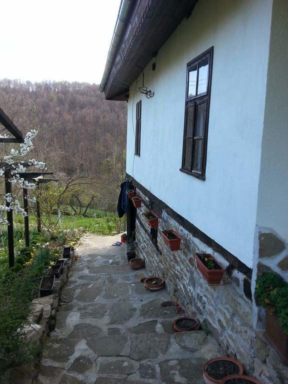 Къща За Гости Ножери Trjavna Kültér fotó